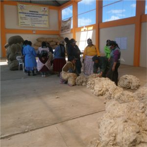 Promoción y Acompañamiento de la Venta Organizada de Productos Intermedios de la Fibra de Alpacas (Fibra Clasificada)